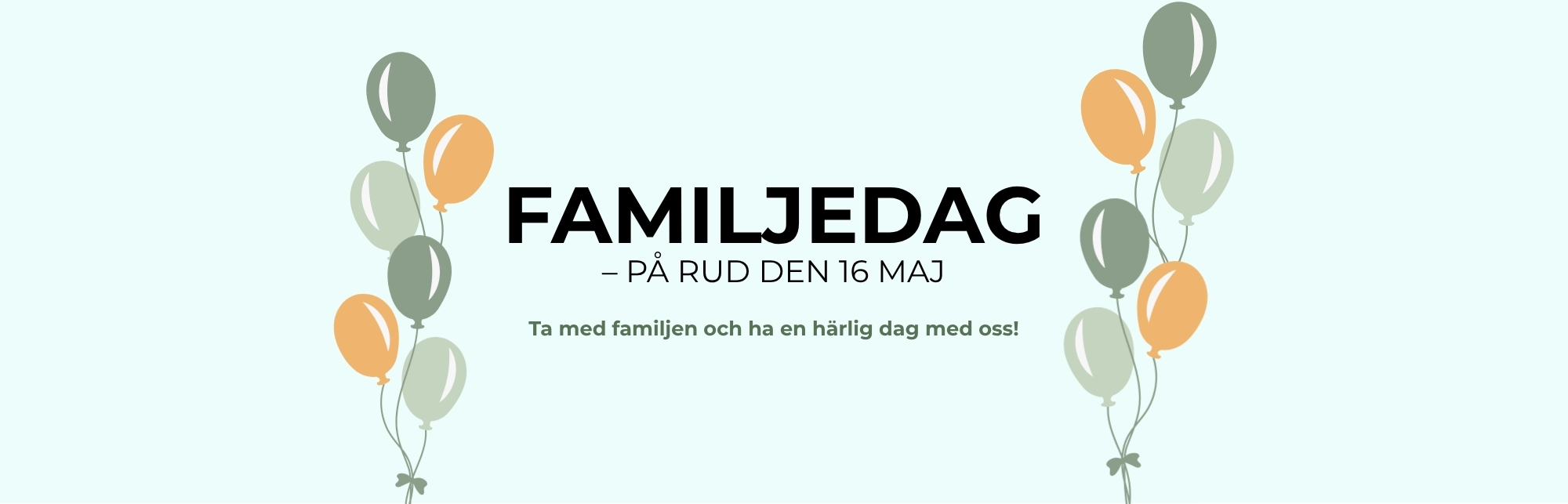 ballonger,info,familjedag,rud