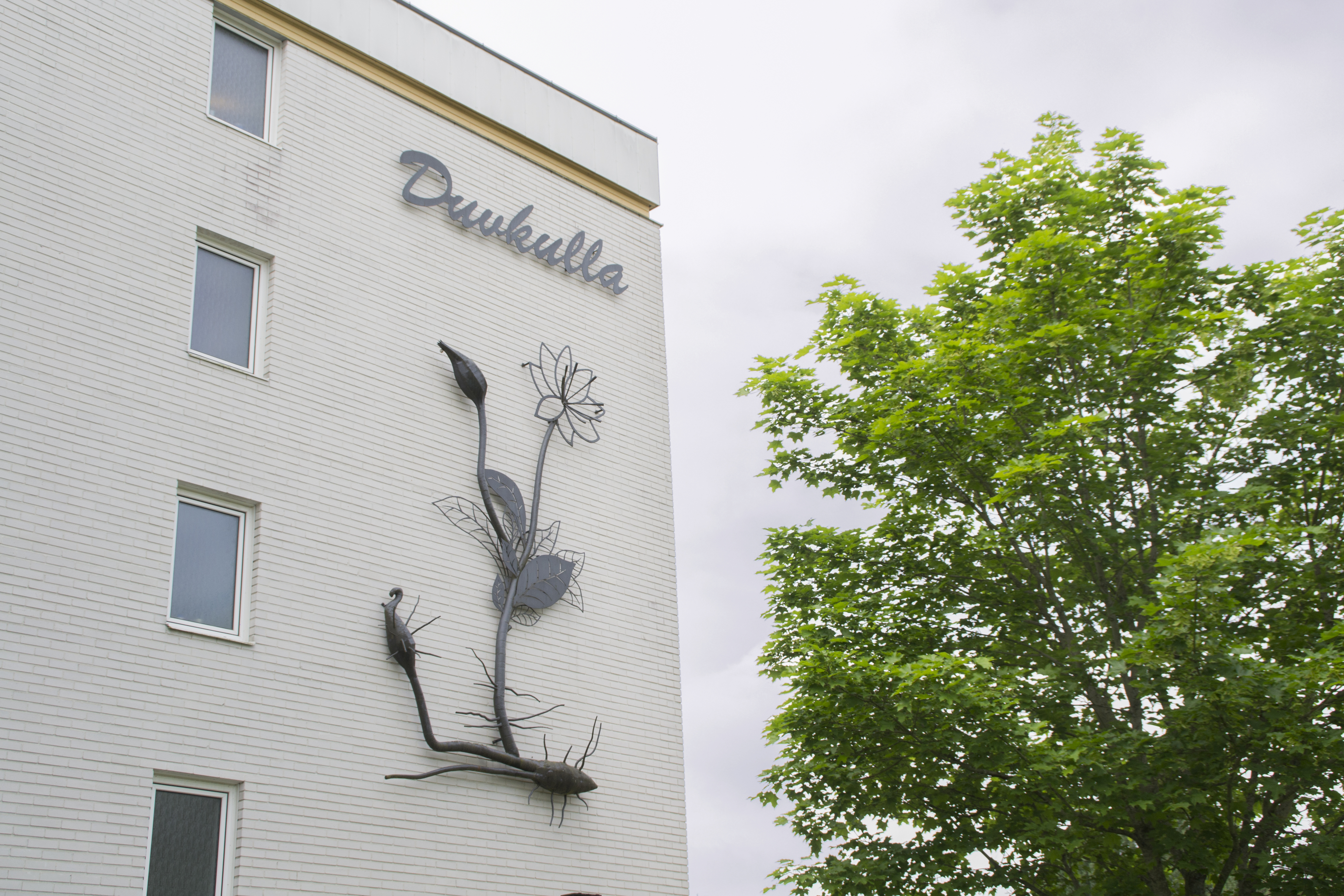 fastigheten duvkulla